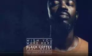Black Coffee - Wish You Were Here Ft. Msaki (Guy Mantzur Remix)
